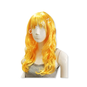 Long Curly Hair Wig