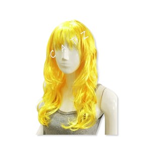 Long Curly Hair Wig