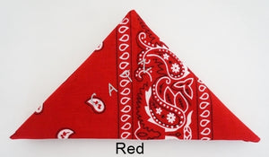 Bandana