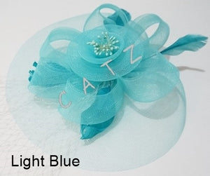 Fascinators Hair Clip