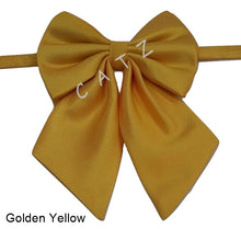 Load image into Gallery viewer, RIBBON BOW TIE